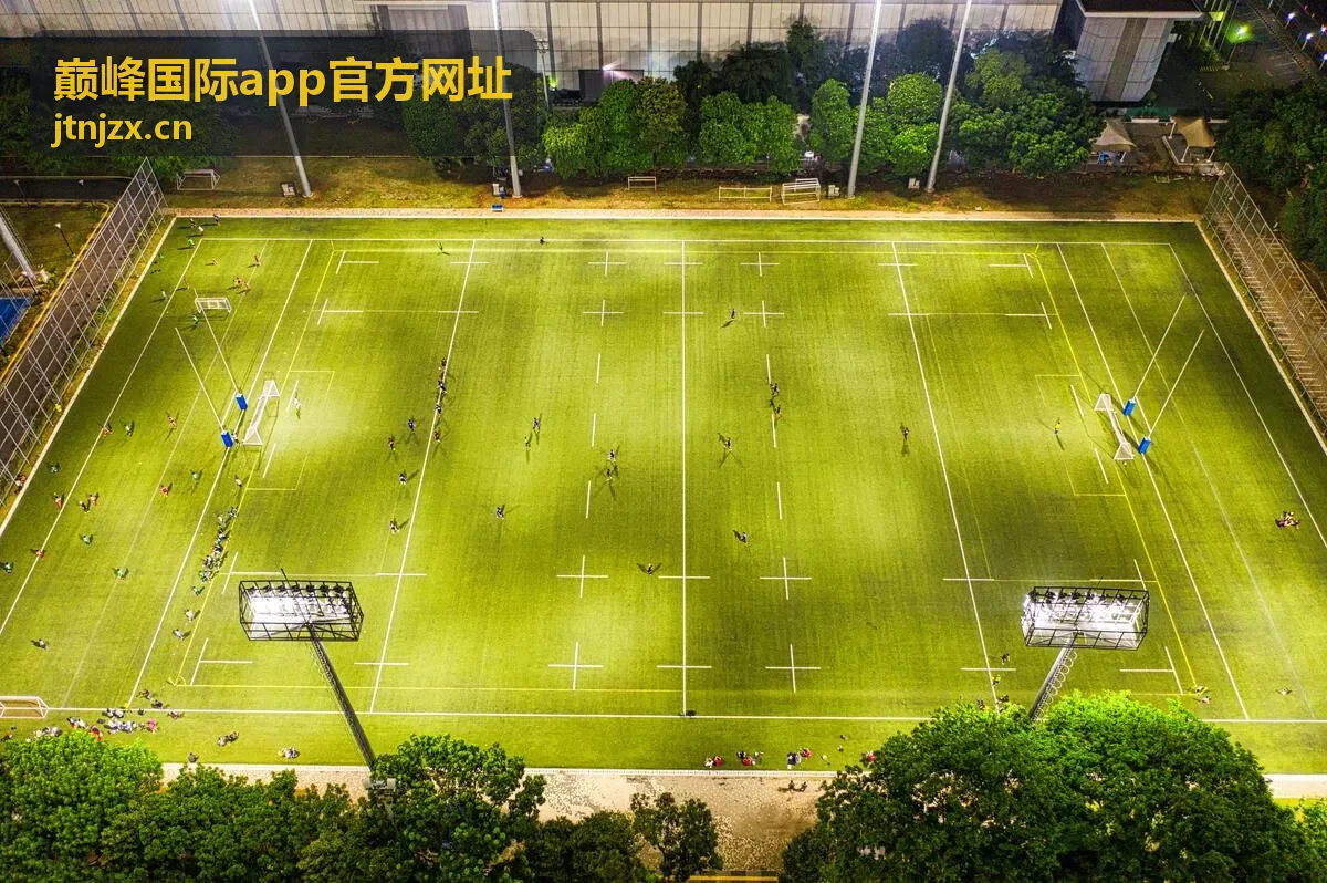 巅峰国际App官方网址认证通道封面图