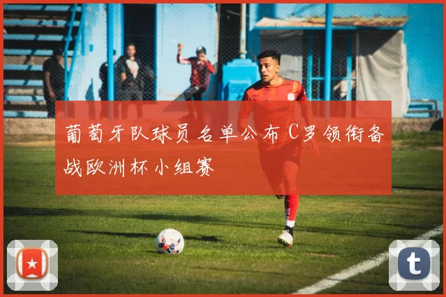 葡萄牙队球员名单公布 C罗领衔备战欧洲杯小组赛