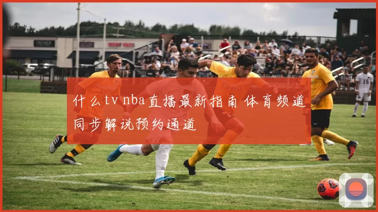 什么tv nba直播最新指南 体育频道同步解说预约通道