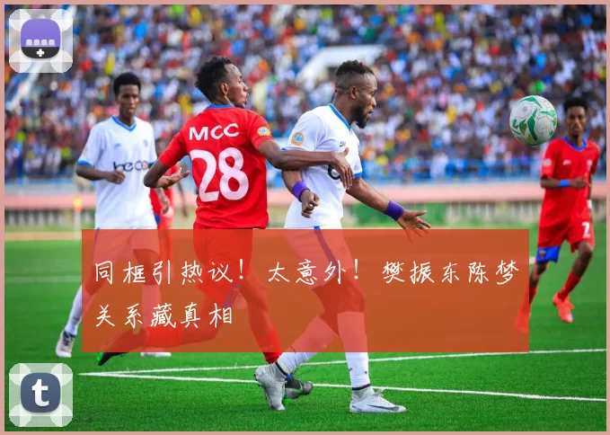 同框引热议！太意外！樊振东陈梦关系藏真相